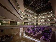 -南京禄口机场雅高铂尔曼大酒店