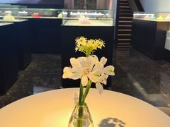 -BLACKSWAN黑天鹅(环球店)