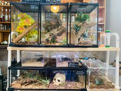 -Rabbit Cafe私房西餐甜点咖啡(栖霞路店)