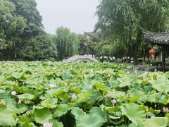 -丝绸小镇荻港古村