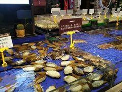 水产区-船歌·鱼水饺青岛菜(闽江二路店)