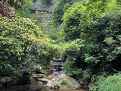 -午潮山国家森林公园