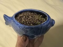 -新旺茶餐厅(鑫耀·光环live店)