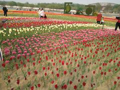 -廊坊文化艺术中心