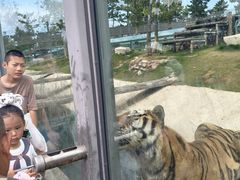 -西霞口神雕山野生动物世界