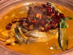 段氏绝味鱼头-柿合缘新京菜(国金中心商场店)