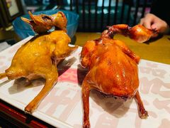 -大鸽饭(岗顶店)