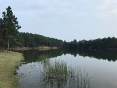 -南京市无想山景区