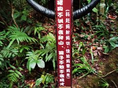 -西双版纳基诺山寨