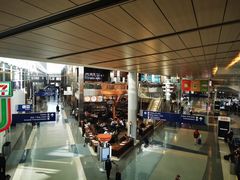 -达拉斯 沃斯堡国际机场