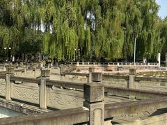-温江公园