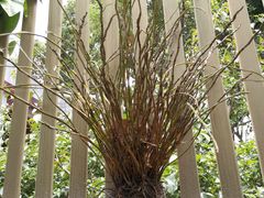 -三圣花乡旅游区