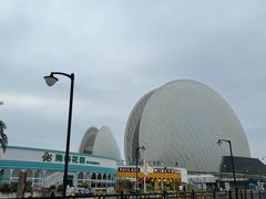 -野狸岛