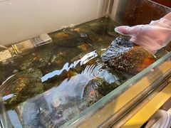 -十八字金银饰·拼豆·开蚌手工体验团建(君太百货店)