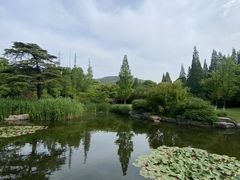 -习家池