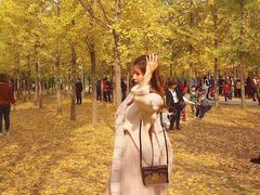 -汉景帝阳陵博物院