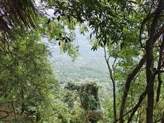 -窦圌山风景区