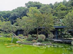 -云溪植物园