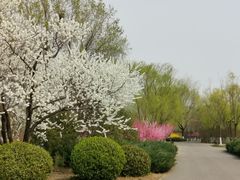 -永定河休闲森林公园