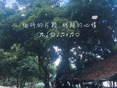 -松山湖南湖湾露营营地