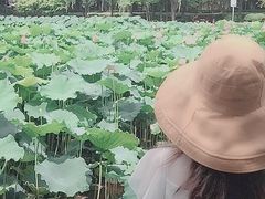 -陈家山荷花公园