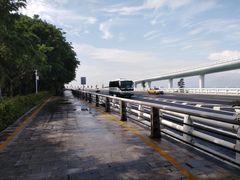 -演武大桥观景平台