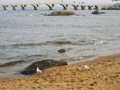 -兴城海滨风景区