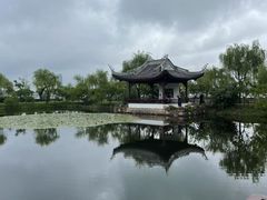 -无锡蠡湖国家湿地公园-蠡园