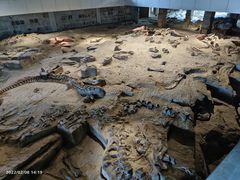 -自贡恐龙博物馆