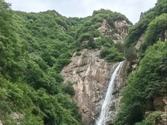 -王顺山国家森林公园