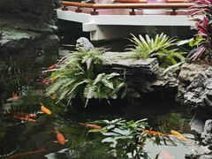 -广州白天鹅宾馆