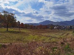 -塔川景区