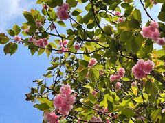 -重庆中央公园(渝北区)