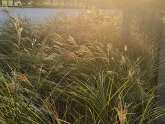 -汉长安城未央宫国家考古遗址公园