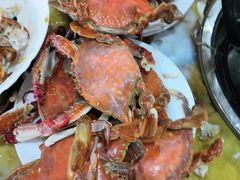 -春华海鲜城(广场西苑店)