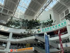 -正佳雨林生态植物园