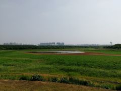 -盘龙城国家考古遗址公园