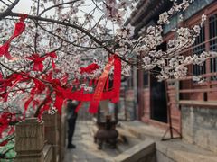 -天津盘山风景名胜区