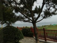 -青岛东方影都融创水世界