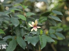 -国家植物园