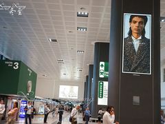 -米兰马尔彭萨国际机场