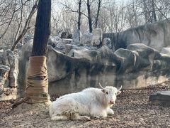 -北京野生动物园