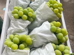 -马陆小张葡萄园农家乐