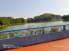 -东莞植物园