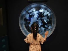 -鹿儿岛水族馆