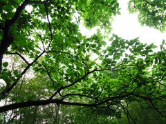 景点-穹窿山景区