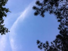 绿地-沈阳植物园