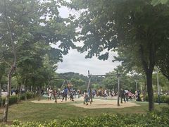 -飞凤山奥体公园