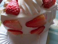 -维尔纳斯·生日蛋糕·动物奶油冰淇淋蛋糕(雨花店)