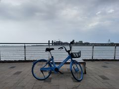 -万绿园